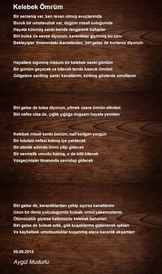 Aygül Mudurlu