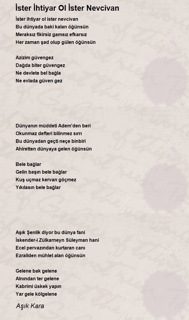 sexsy kadınlar bir şöförün hatıra defteri