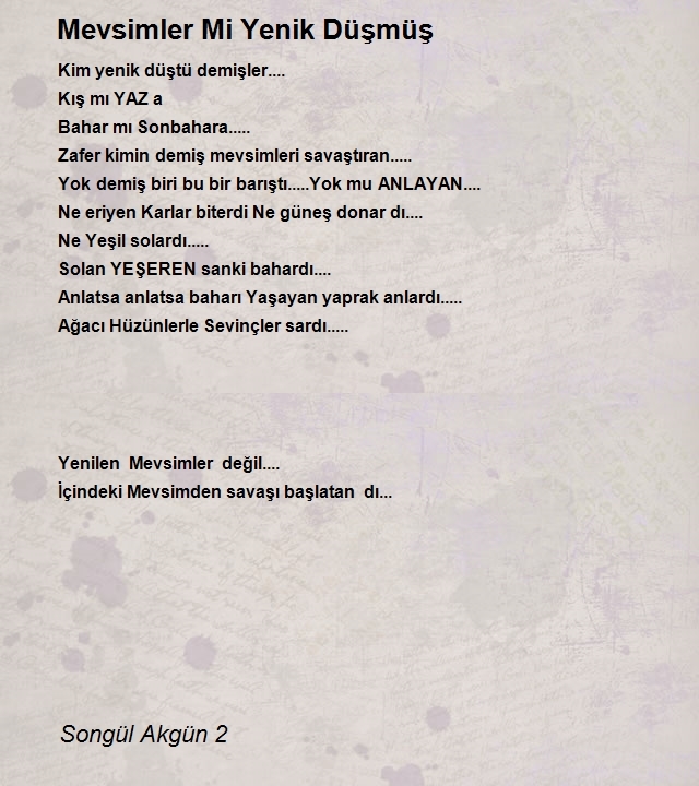 Songül Akgün 2