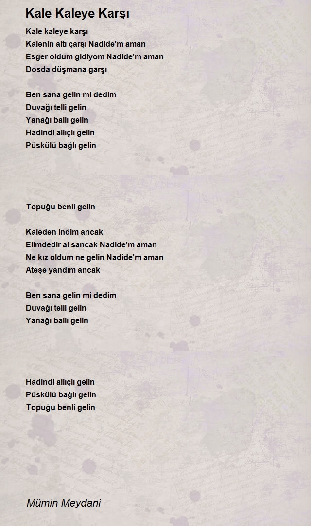 Mümin Meydani