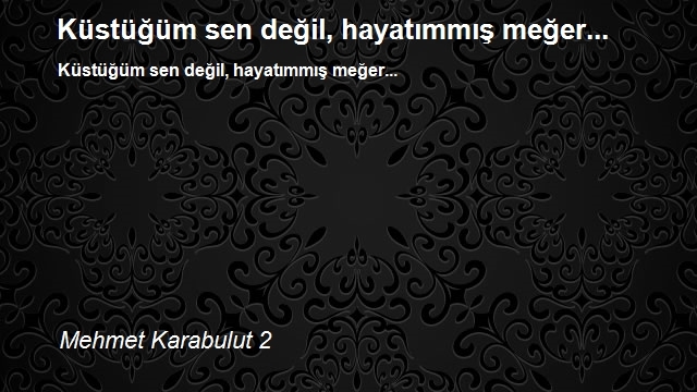 Mehmet Karabulut 2
