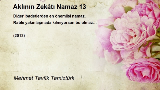 Mehmet Tevfik Temiztürk