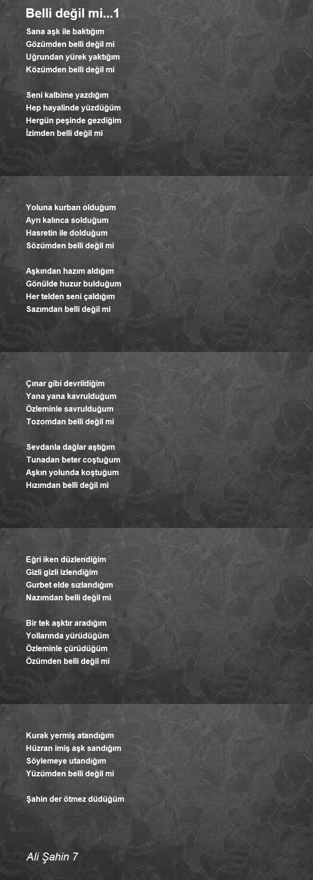 Ali Şahin 7