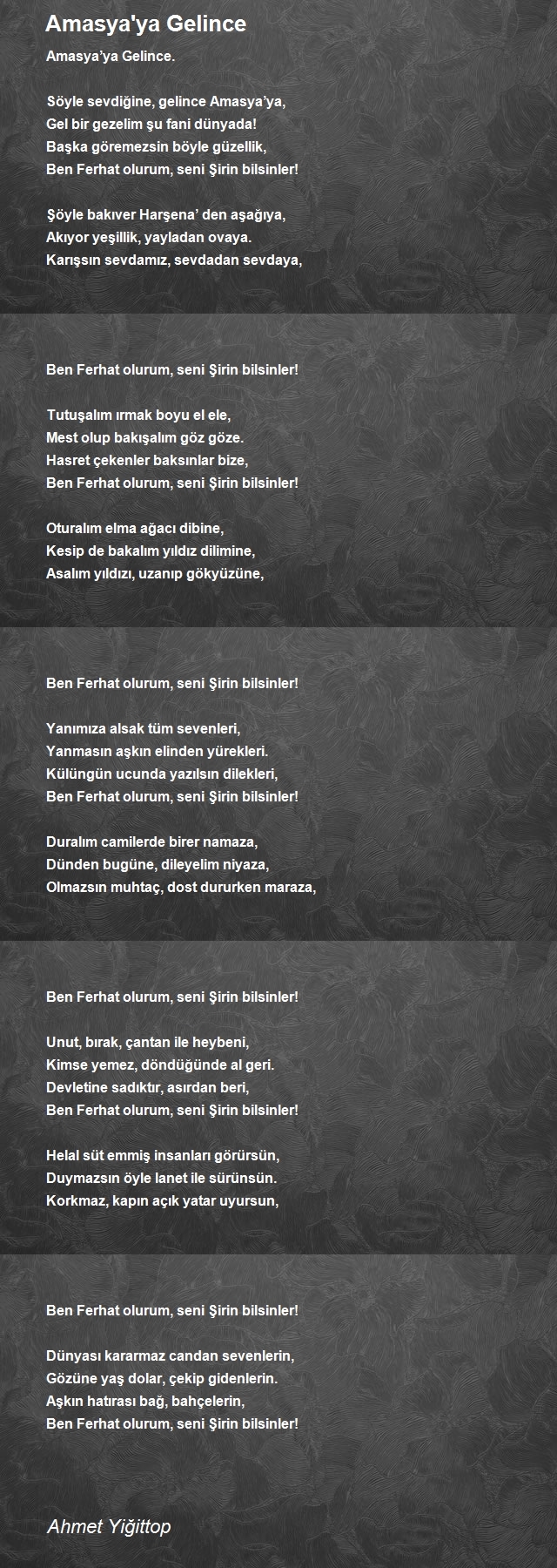 Ahmet Yiğittop