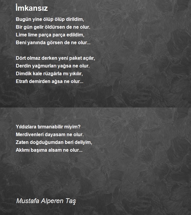 Dr Mustafa Alperen Taş