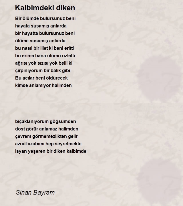 Sinan Bayram