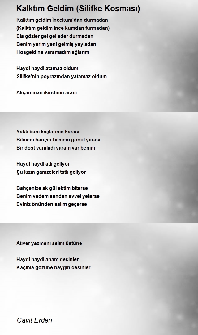 Cavit Erden