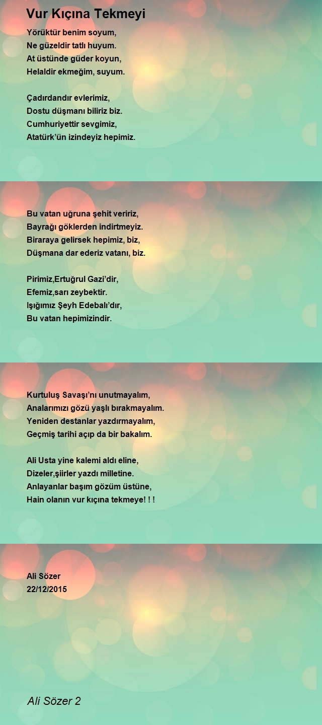 Ali Sözer 2