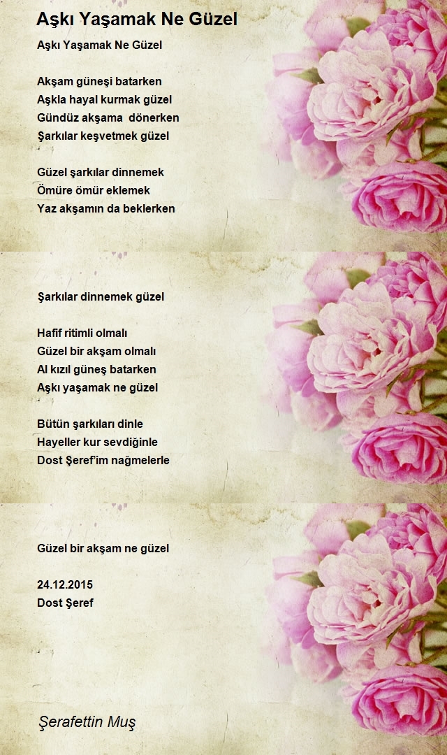 Şerafettin Muş