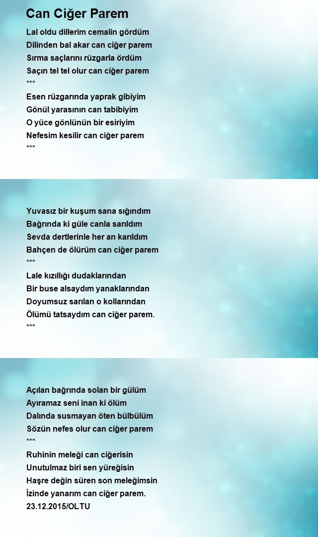 Ruhi Hatunoğlu
