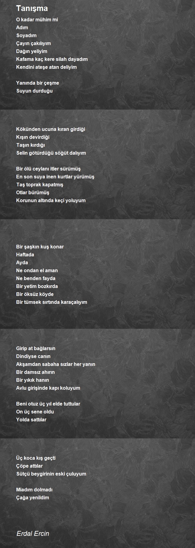 Erdal Ercin