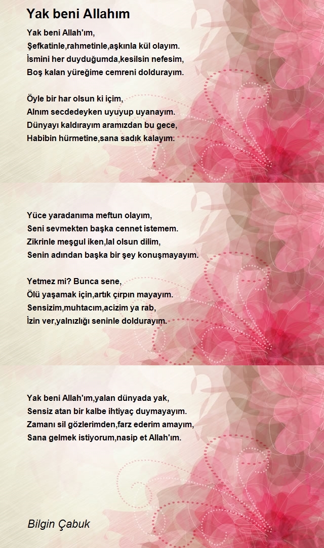 Bilgin Çabuk