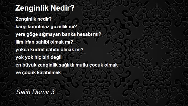 Salih Demir 3