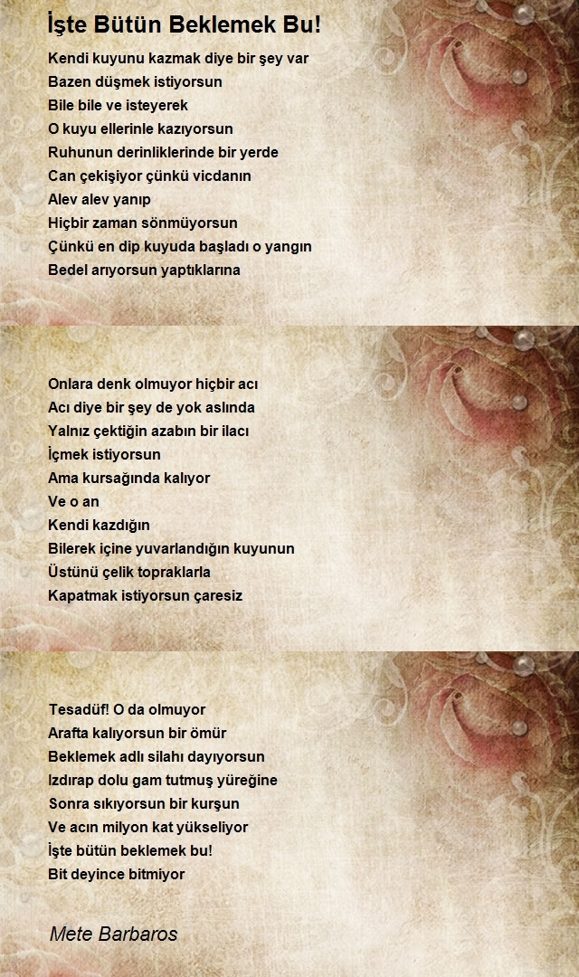 Mete Barbaros