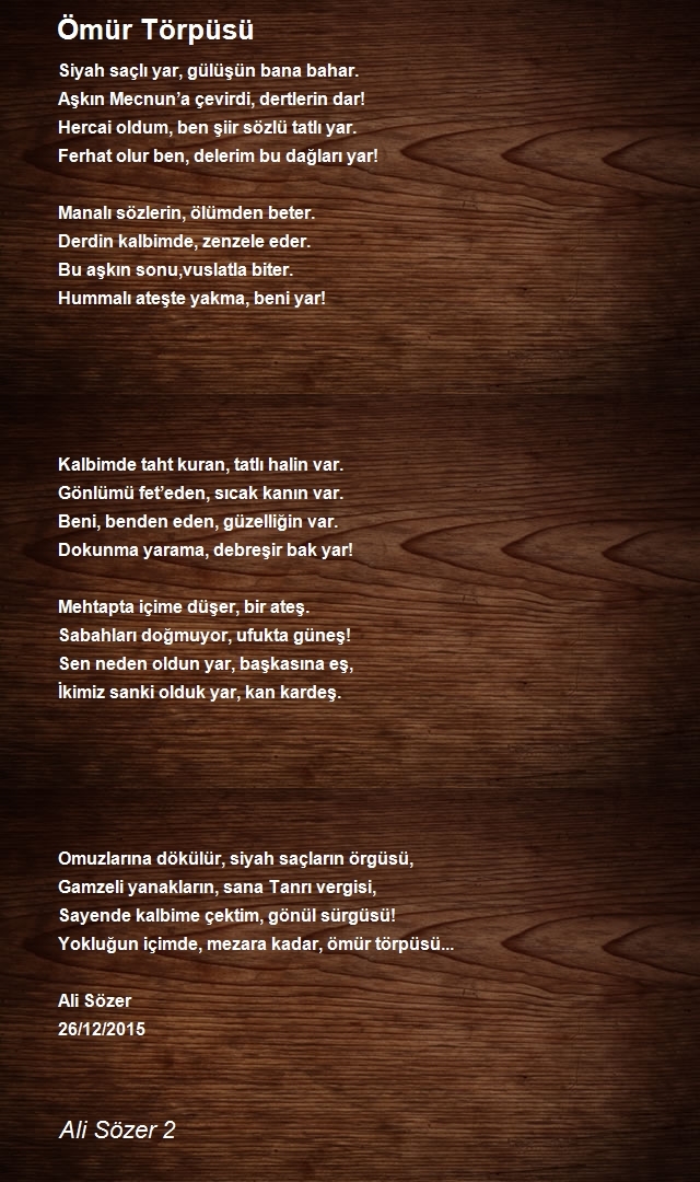 Ali Sözer 2