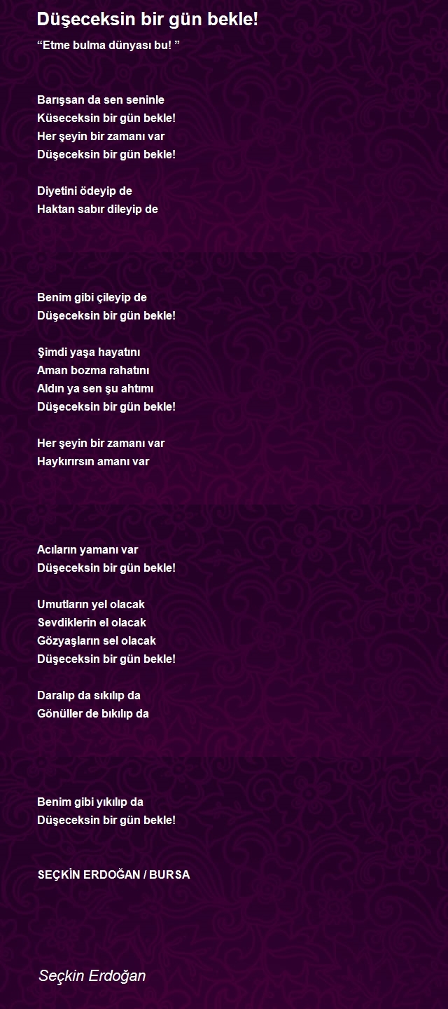 Seçkin Erdoğan