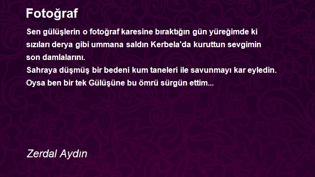 Zerdal Aydın