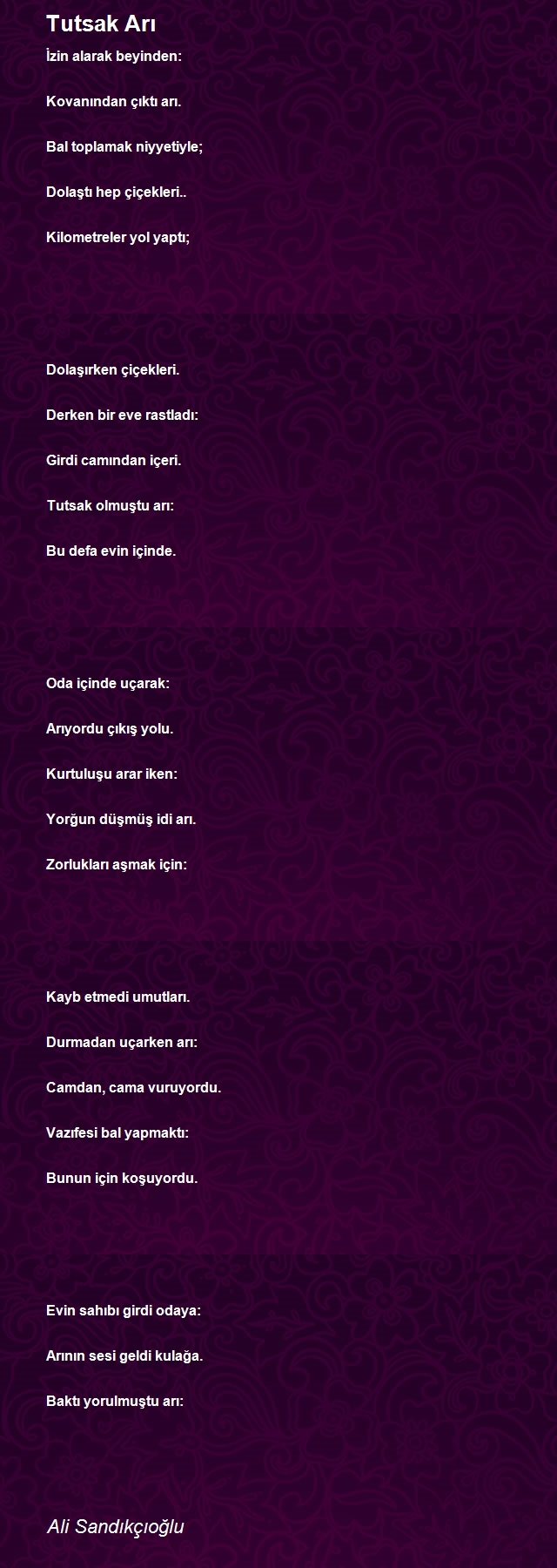 Ali Sandıkçıoğlu