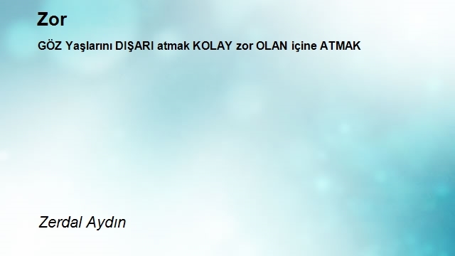 Zerdal Aydın