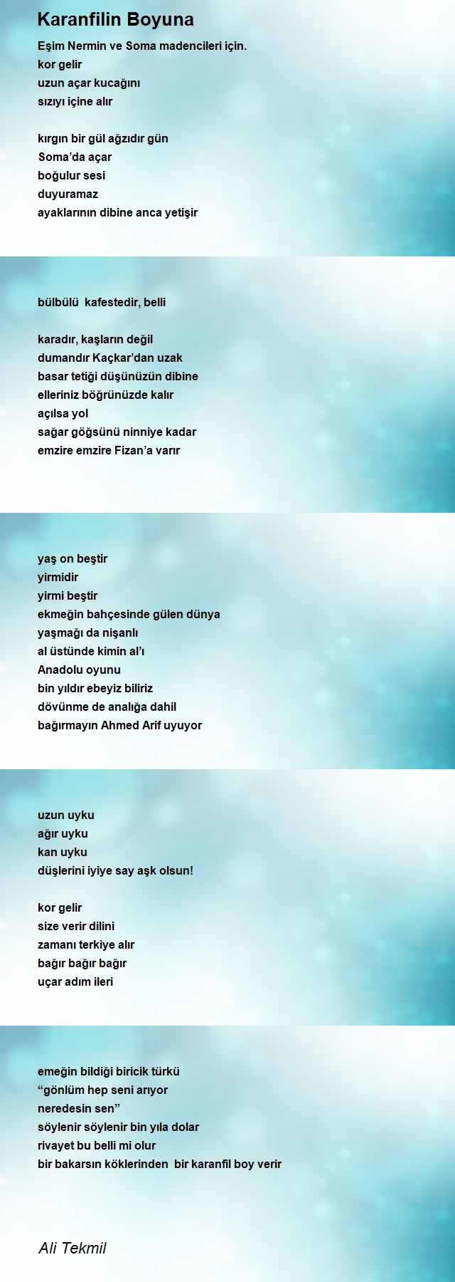 Ali Tekmil