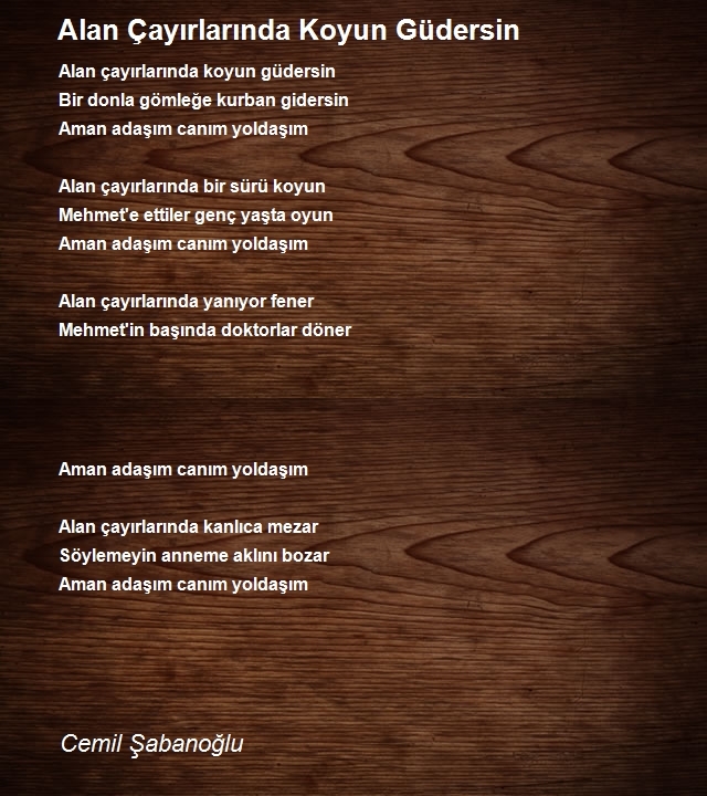 Cemil Şabanoğlu