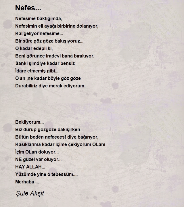 Şule Akşit