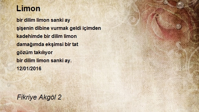 Fikriye Akgöl 2
