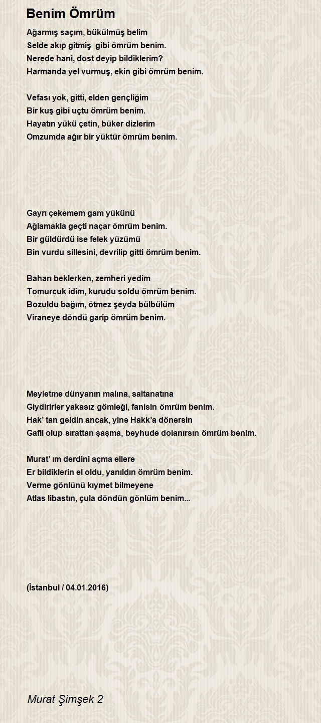 Murat Şimşek 2