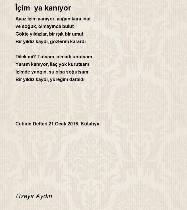 Üzeyir Aydın