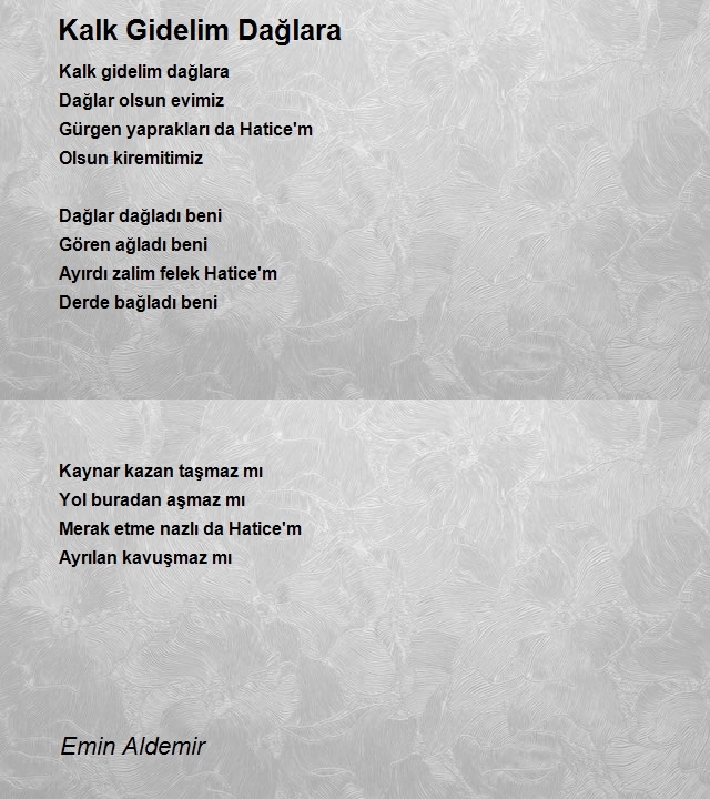Emin Aldemir