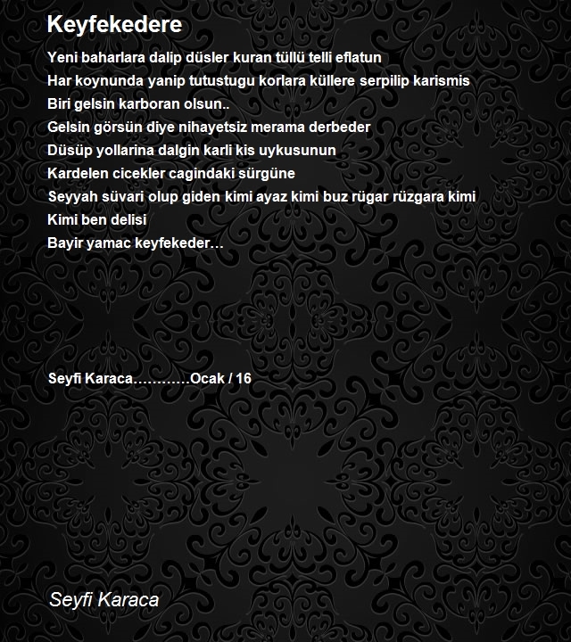 Seyfi Karaca