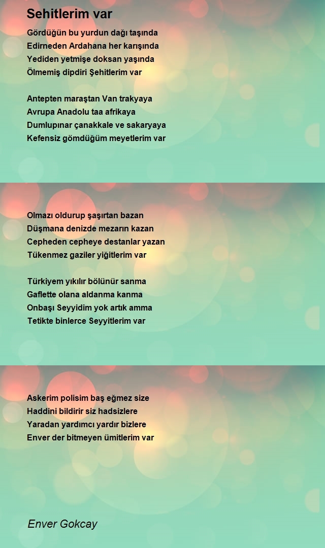 Enver Gokcay