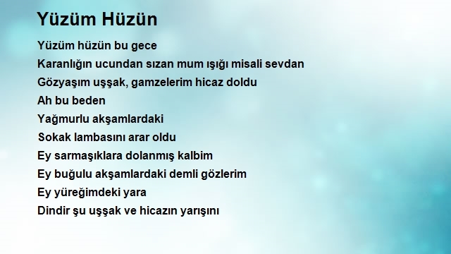 Emine Kurt 2