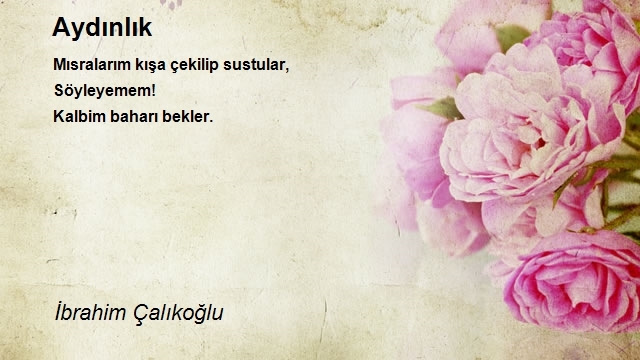İbrahim Çalıkoğlu