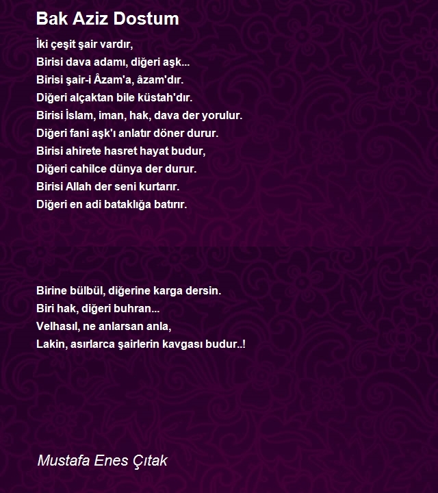 Mustafa Enes Çıtak