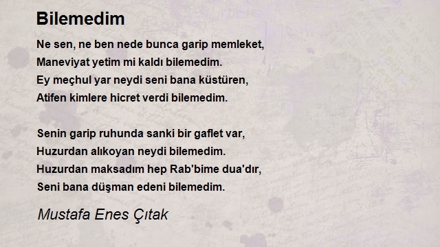 Mustafa Enes Çıtak