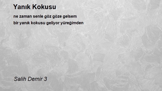 Salih Demir 3