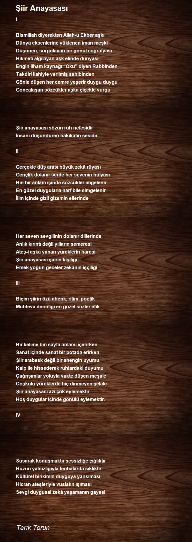 Tarık Torun