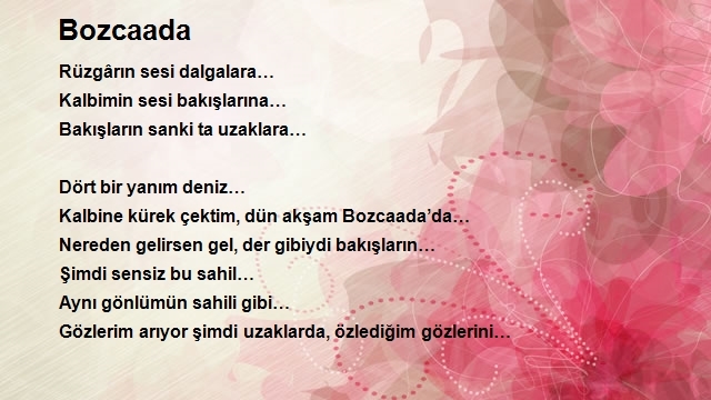 Hasan Yılmaz 2