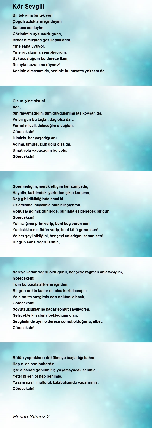 Hasan Yılmaz 2