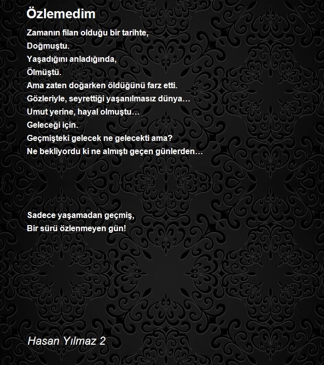 Hasan Yılmaz 2