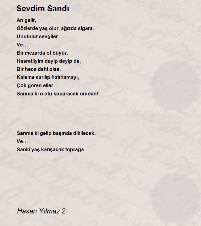 Hasan Yılmaz 2