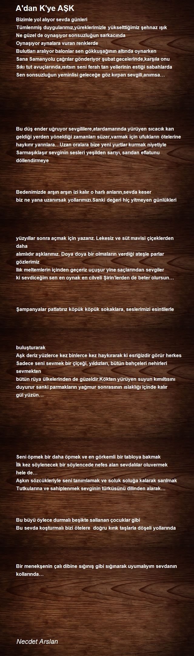 Necdet Arslan