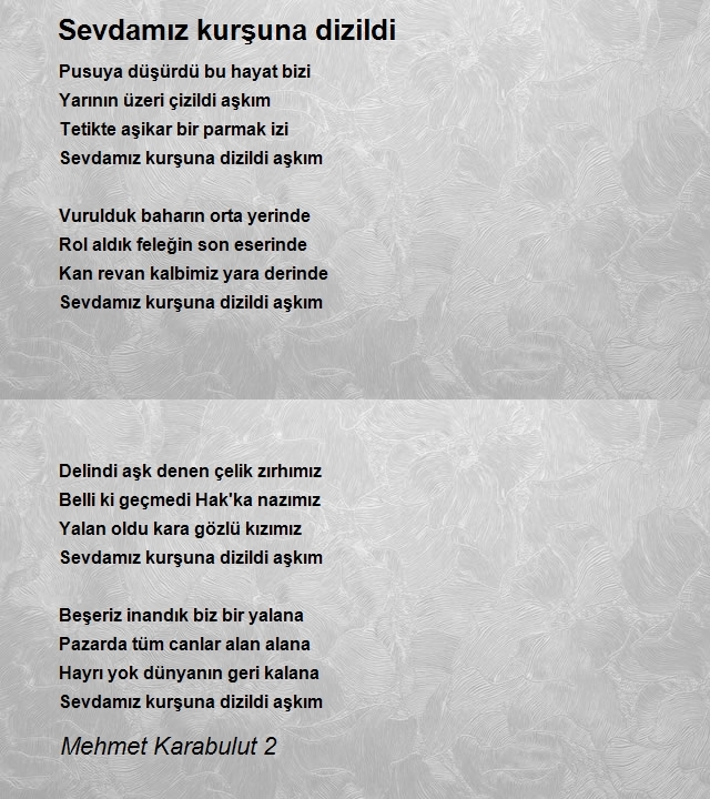 Mehmet Karabulut 2