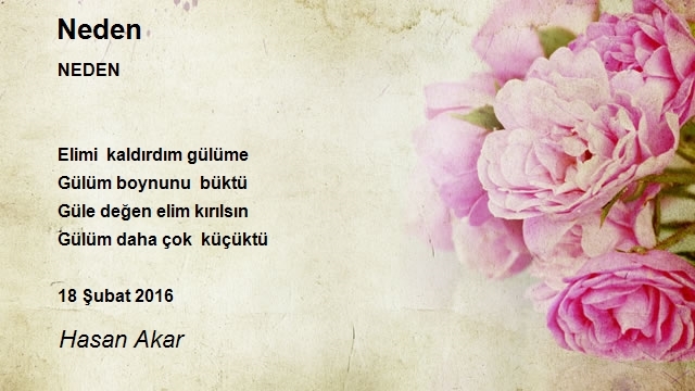 Hasan Akar