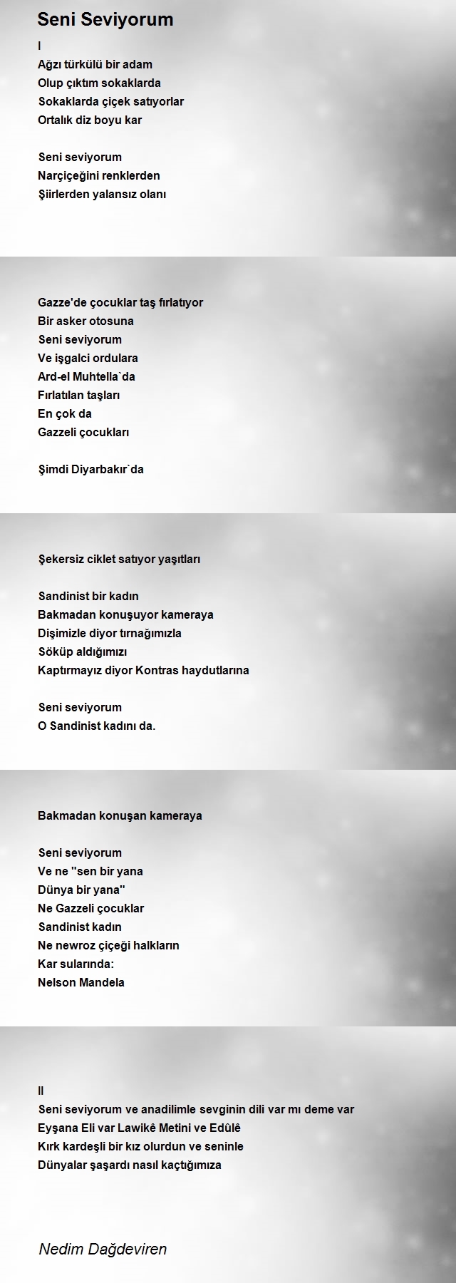 Nedim Dağdeviren