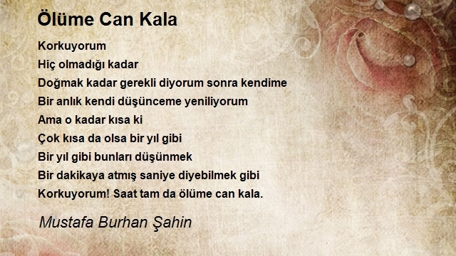 Mustafa Burhan Şahin
