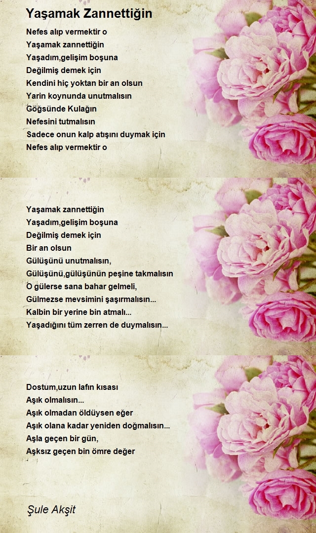 Şule Akşit