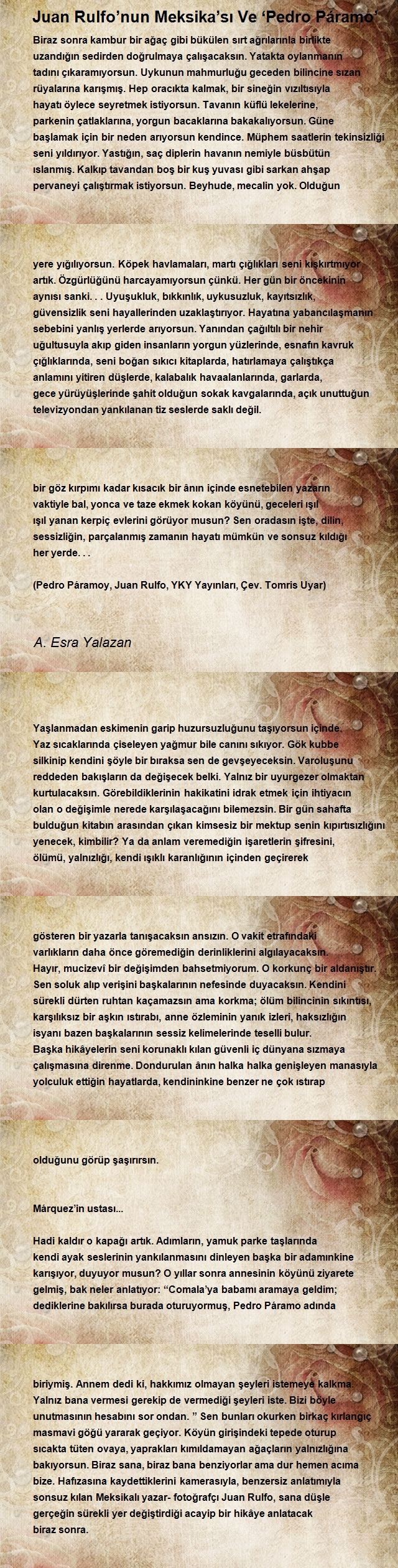 A. Esra Yalazan