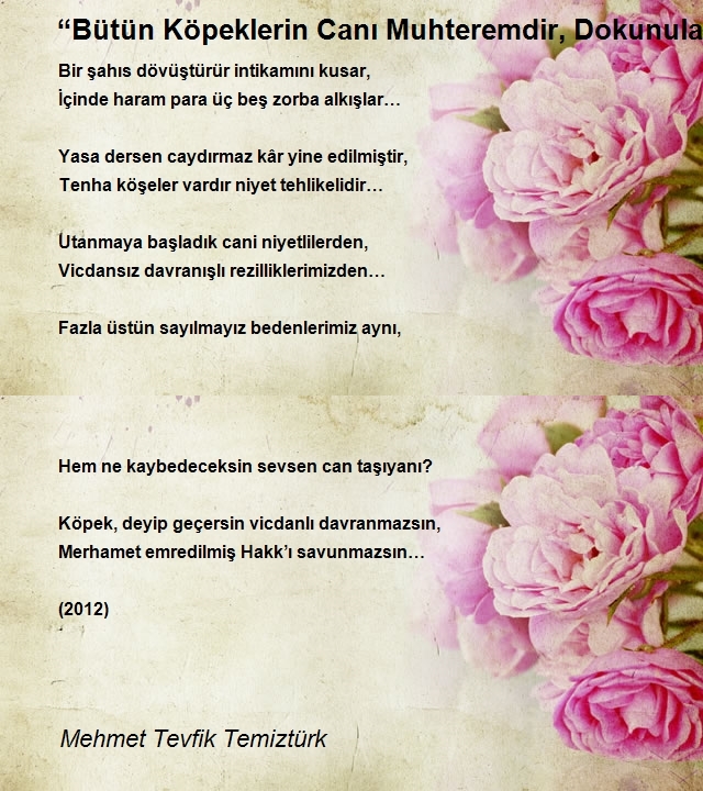 Mehmet Tevfik Temiztürk